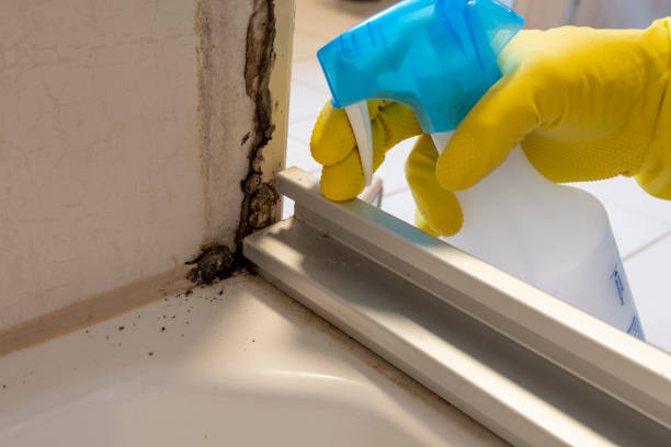 Best Affordable Mold Removal  in Smithville, NJ