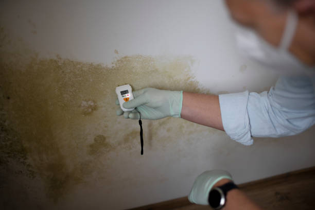 Best Mold Cleaning Services  in Smithville, NJ