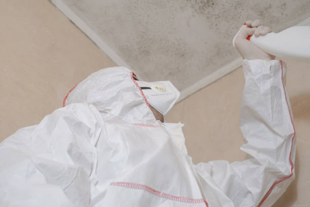 Best Black Mold Removal  in Smithville, NJ